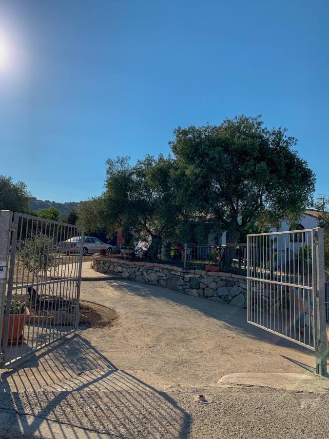 Villa Sardegna "Ri-Ale" A Due Passi Dal Mare Bari Sardo - Ogliastra - Cod Iun Q8596 Exterior foto